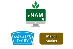 Market Linkages